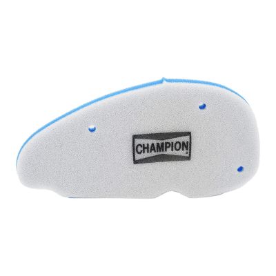 Champion Luchtfilter CAF5107DS 