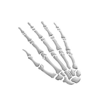 Highway Hawk 3-D Sticker Skeleton Hand
